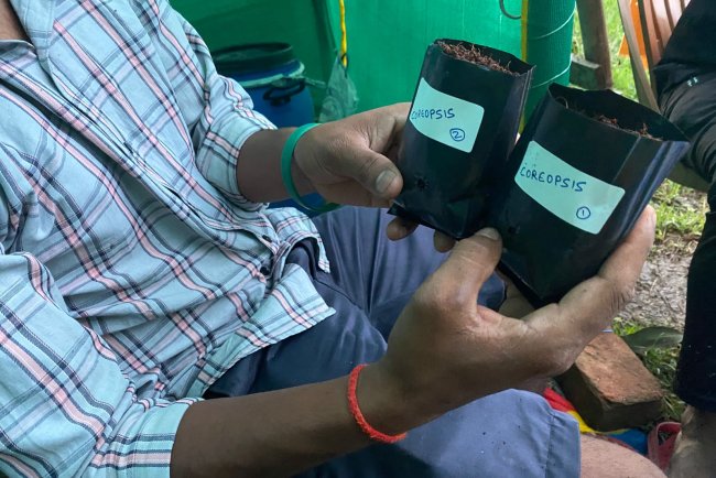 Taking Biodiversity to the Next Level – 45 Rare Flower Varieties Planted!