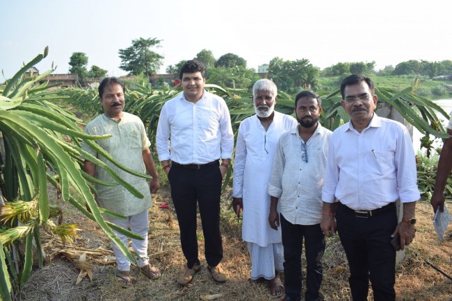 पाकुड़, झारखंड में ड्रैगन फ्रूट की खेती: बंजर ज़मीन से मुनाफे की फसल तक
