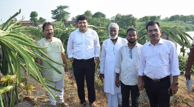 पाकुड़, झारखंड में ड्रैगन फ्रूट की खेती: बंजर ज़मीन से मुनाफे की फसल तक