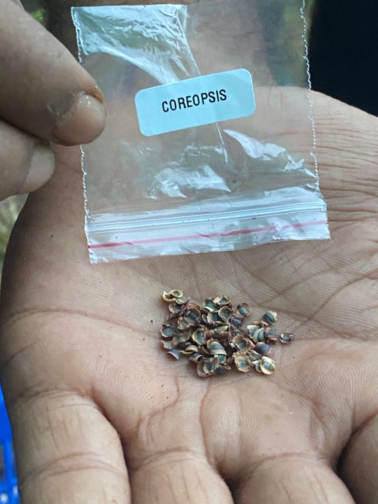 Taking Biodiversity to the Next Level – 45 Rare Flower Varieties Planted!