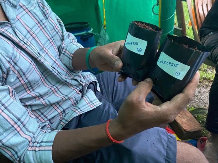 Taking Biodiversity to the Next Level – 45 Rare Flower Varieties Planted!